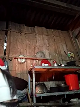 lena-cute – Live XXX-chat