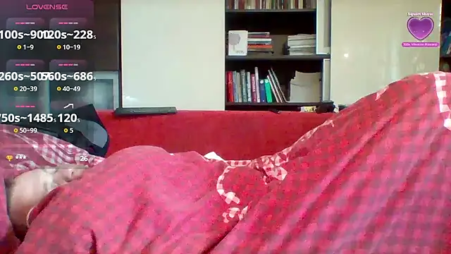 Show modela Matttthees na web-kameri