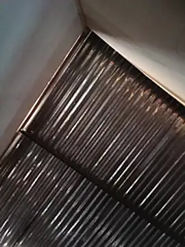 latino17 Show Webcam