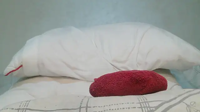 roccosif696: вебкам-шоу