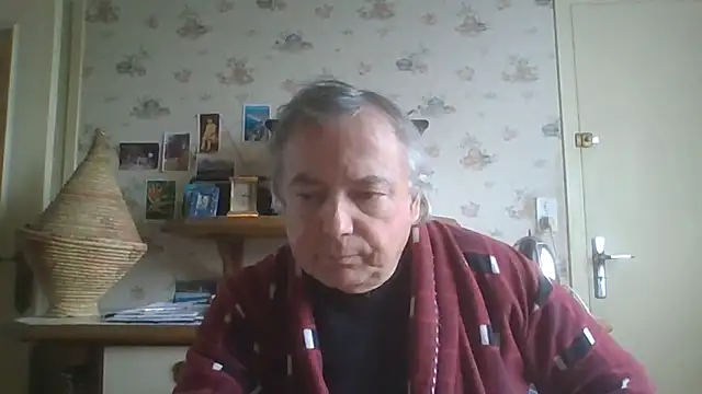 gegevincent5 Show Webcam