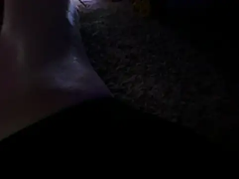 Antnjon – Kamerová šou