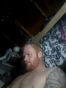 ed31devall élő XXX-chatje