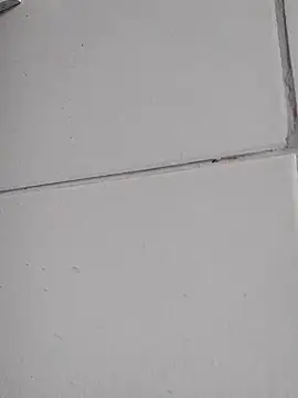 Show webcam de Misterymem63