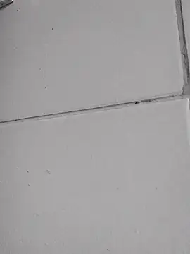 Misterymem63 网络视讯表演