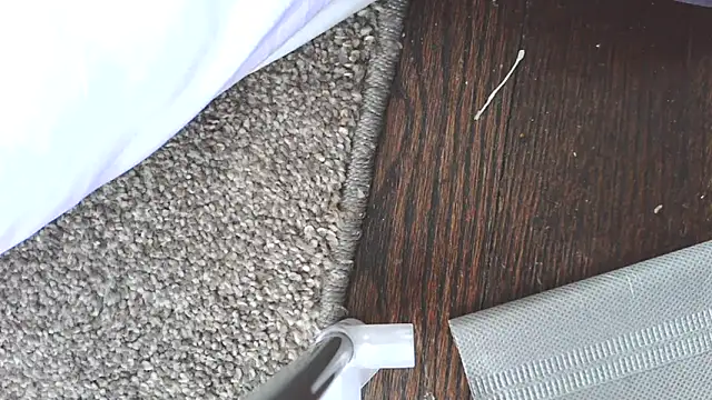 RubyRose33 Adlı Modelin Canlı XXX Sohbeti