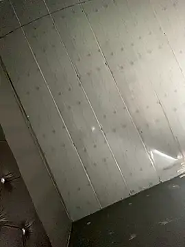 PanelledCabalist Adlı Modelin Web Kamerası Şovu