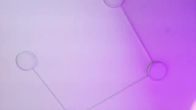 ladymooncs Live XXX Chat