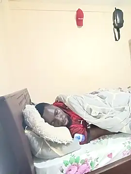 Brian_johnsn Webbikameraesitys