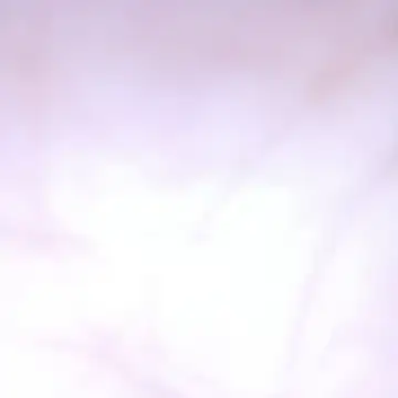 Chatroom XXX en direct de sanayabose7