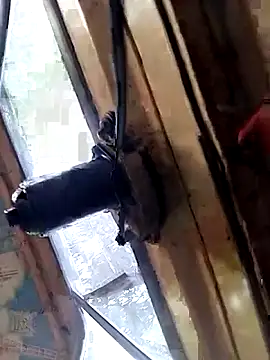 DulajThushara2468's Webcam Show