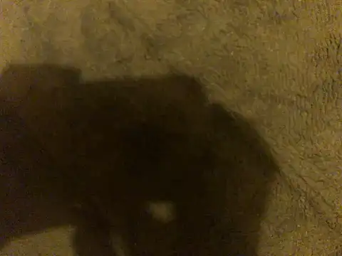 omonaka Live XXX Chat