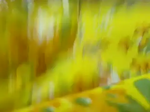 Živý XXX chat TABOOBREAKERS