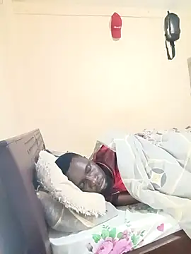 Brian_johnsn Webbikameraesitys