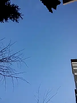 alex10alexx 웹캠 쇼