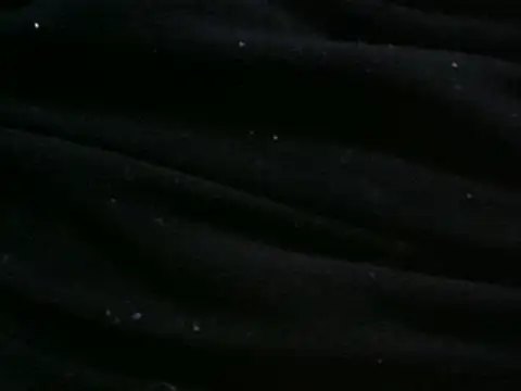 عرض كام vuran691