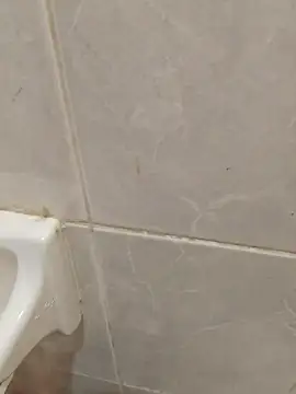 Вебкам-шоу enoc369