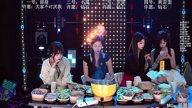 Show webcam de S5-55S