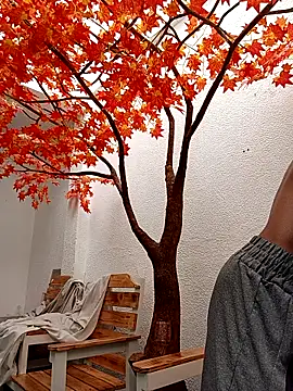 Show Webcam de Dante_Knox