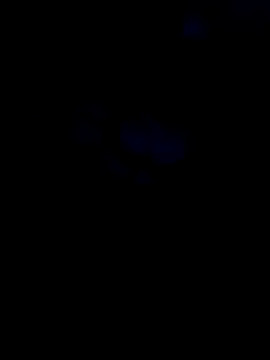 DodderedSitka 在線直播表演