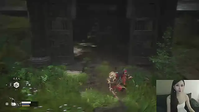 whitecat13: απευθείας συνομιλία ΧΧΧ