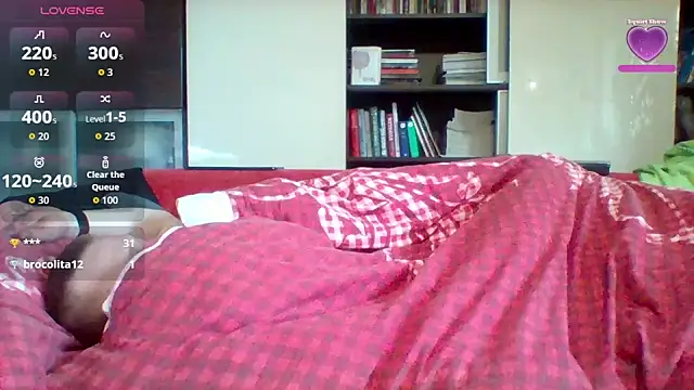 Show modela Matttthees na web-kameri