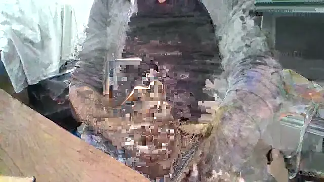 Show de webcam de elegantblack