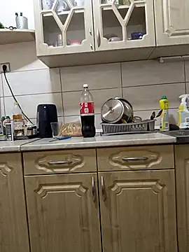 Show de narrowboy na webcam