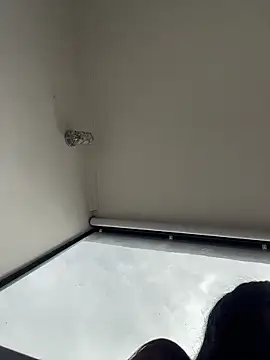 عرض كام sylphiee_