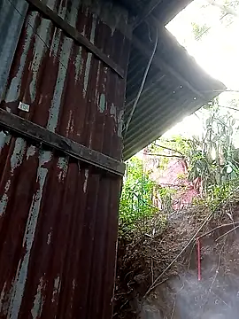 tayson_ 网络视讯表演