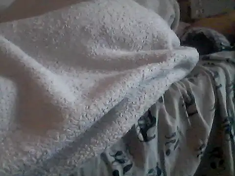 Show webcam de Silencio26