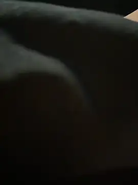 nide-laoshi webcam show