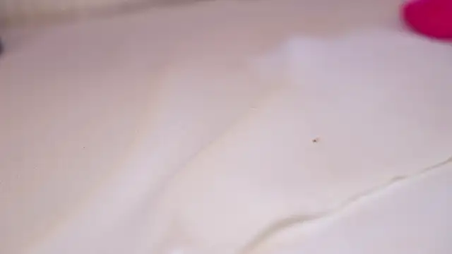 Vesya – Live XXX-chat