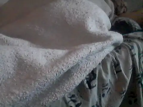 แชท XXX สดของ Silencio26