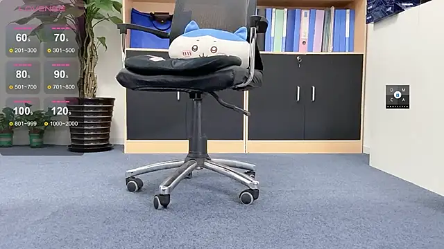 Shinjo-kun 现场XXX聊天