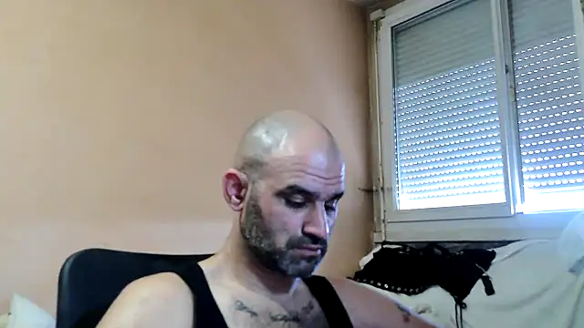 Prime-Dominus 即時 XXX 聊天