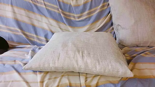 shule7のウェブカメラショー