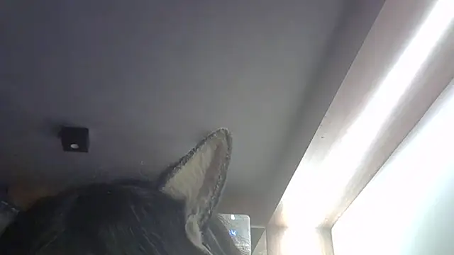 Show de webcam de SkinnyKitten