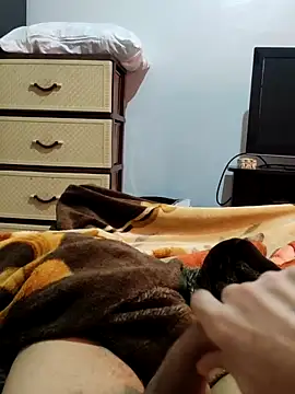 Show Webcam de JoyousArray85