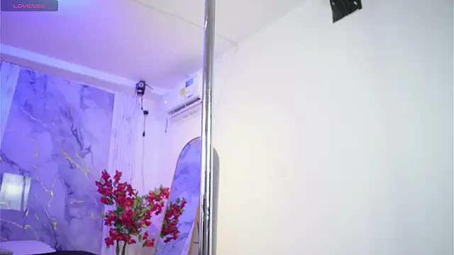 โชว์เว็บแคมของ noah_travis