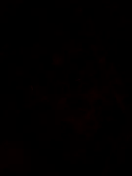 1Aya1Mustafa 网络视讯表演