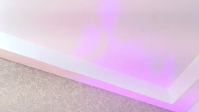 YesyHillsのウェブカメラショー