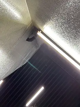 دردشة LisaMurr الجنسية المباشرة