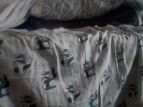 Silencio26 Show in webcam