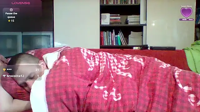 Matttthees Webcam Show