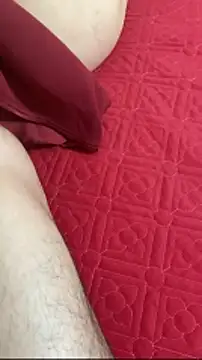 vietAnhzip Webcam show