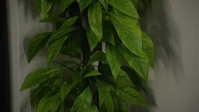 CIarisaTaubertのライブXXXチャット