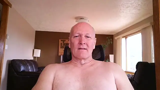 BasicAnt: διαδικτυακό σόου στην κάμερα