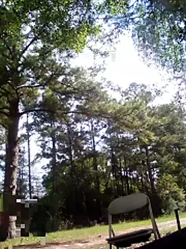 ClydeCan409's Live XXX Chat