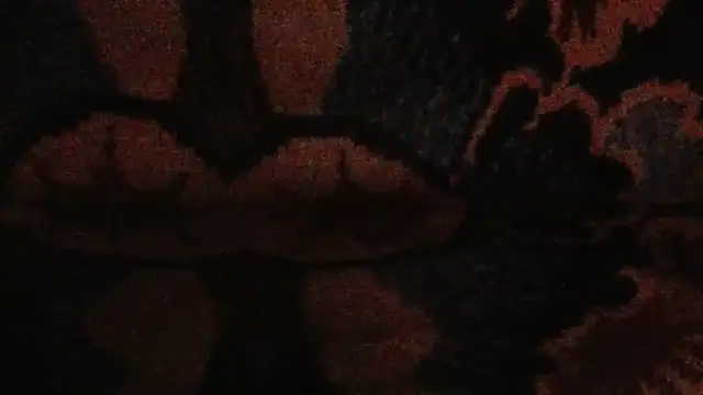 cumloverboyxx69's Webcam Show